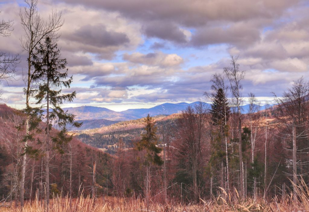Widok na Beskidy rozciągający się z zielonego szlaku bazowego idącego na Przysłop Potócki, jesienny krajobraz