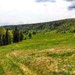 Wiosenna Hala Barania - Beskid Śląski