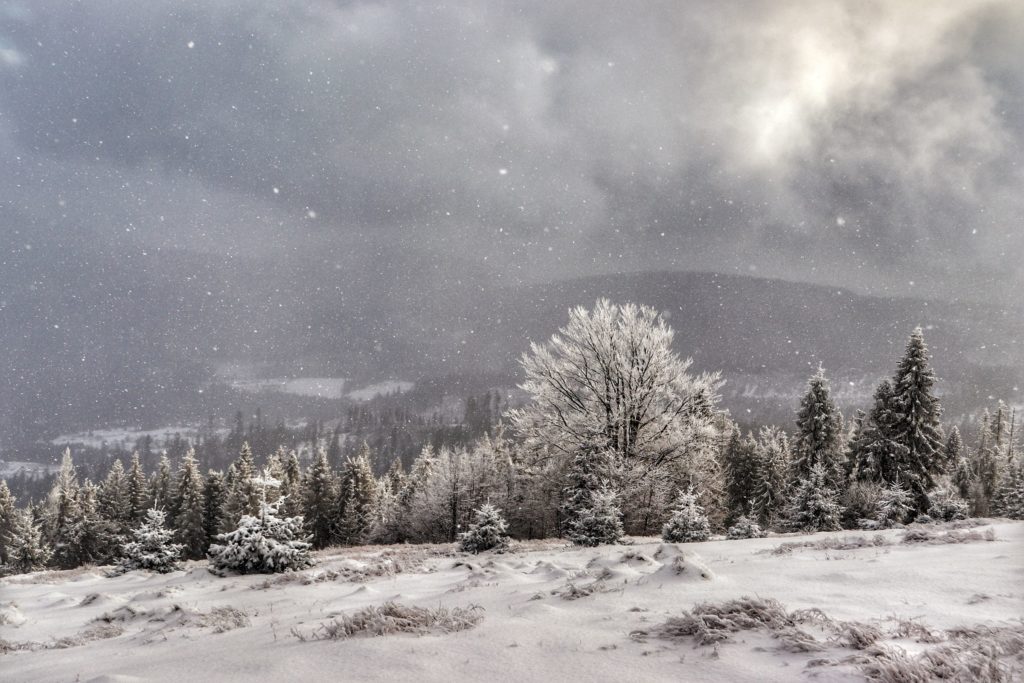 Zima, zaśnieżone drzewa, Hala na Muńczole