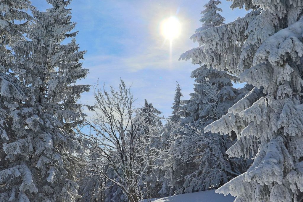 Zimowy krajobraz, słońce, śnieg, drzewa pokryte białym puchem