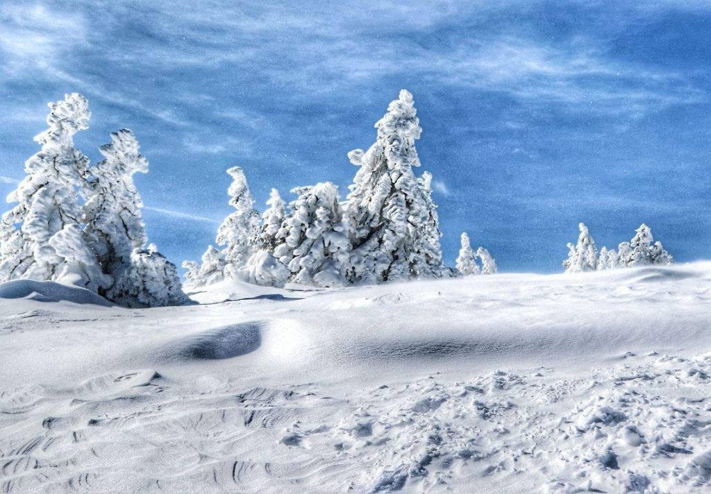 Zimowy krajobraz w Beskidzie Żywieckim, ciemno - niebieskie niebo, śnieg, drzewa pokryte białym puchem