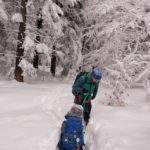 Bajkowa, zimowa sceneria, las, turysta ciągnący dziecko na sankach