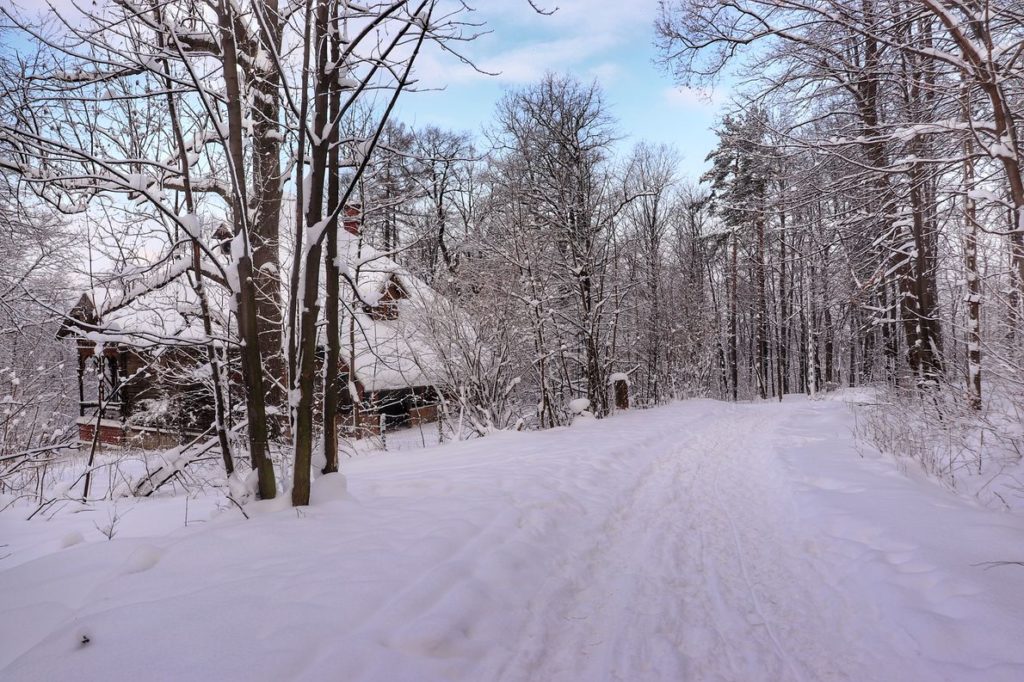 Bajkowa, zimowa sceneria, zaśnieżona droga leśna, po lewek stronie drogi dom