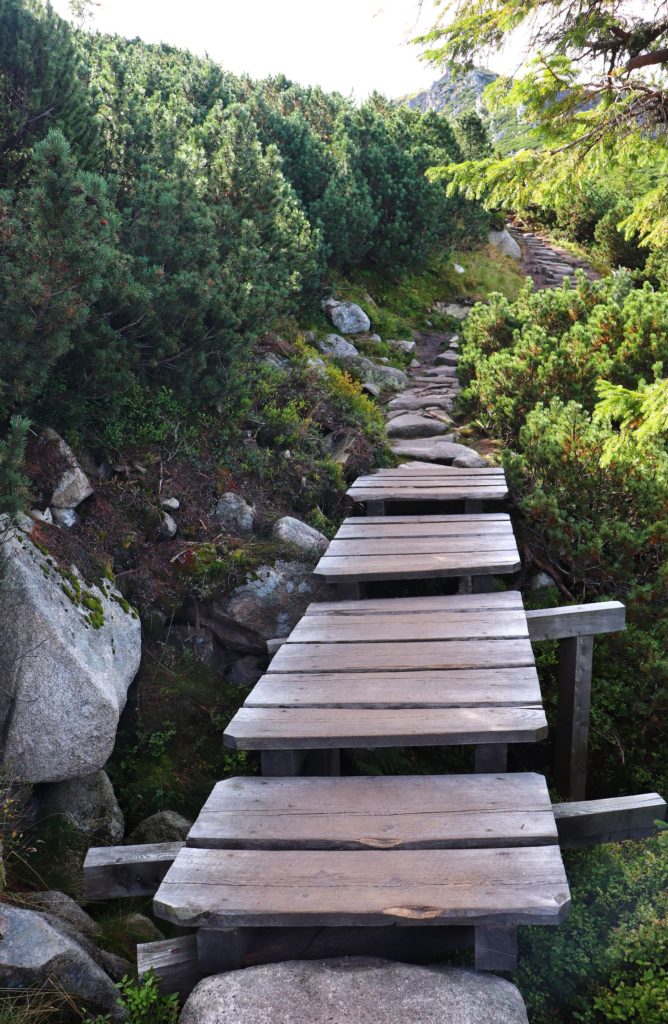 Drewniana kładka (mostek) na zielonym szlaku w Karkonoskim Parku Narodowym