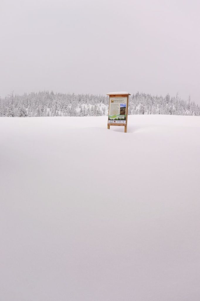 Drewniana tablica informacyjna na Hali Baraniej zasypana przez śnieg