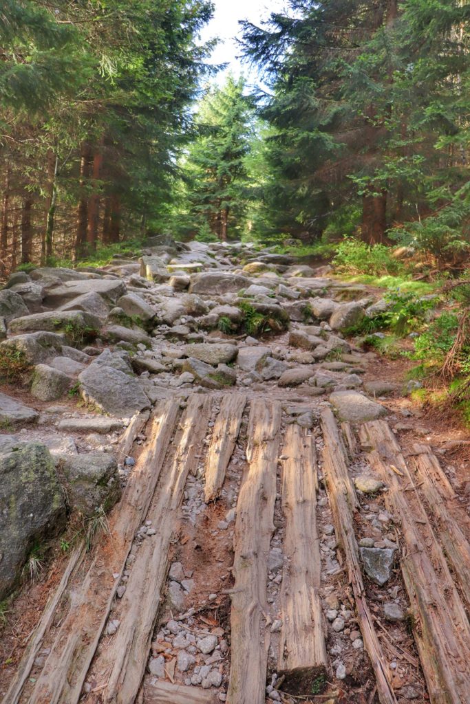 Drewniane wzmocnienia na żółtym szlaku w Karkonoszach idącym do miejsca zwanego - Stara Droga, skały, las