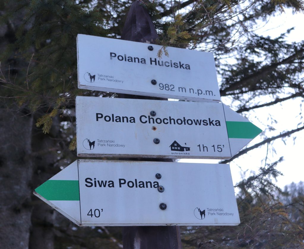 Drewniany słup z drogowskazami na Polanie Huciska (982 m n.p.m.), Polana Chochołowska (1h 15')
