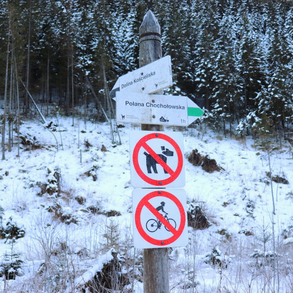 Drogowskaz w Tatrzańskim Parku Narodowym, zielony szlak na Polanę Chochołowską 1 godzina drogi, znaki - zakaz psów oraz zakaz rowerów