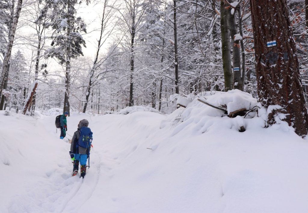 Dziecko, mężczyzna, droga leśna zimą, niebieski szlak idący z Lipnika