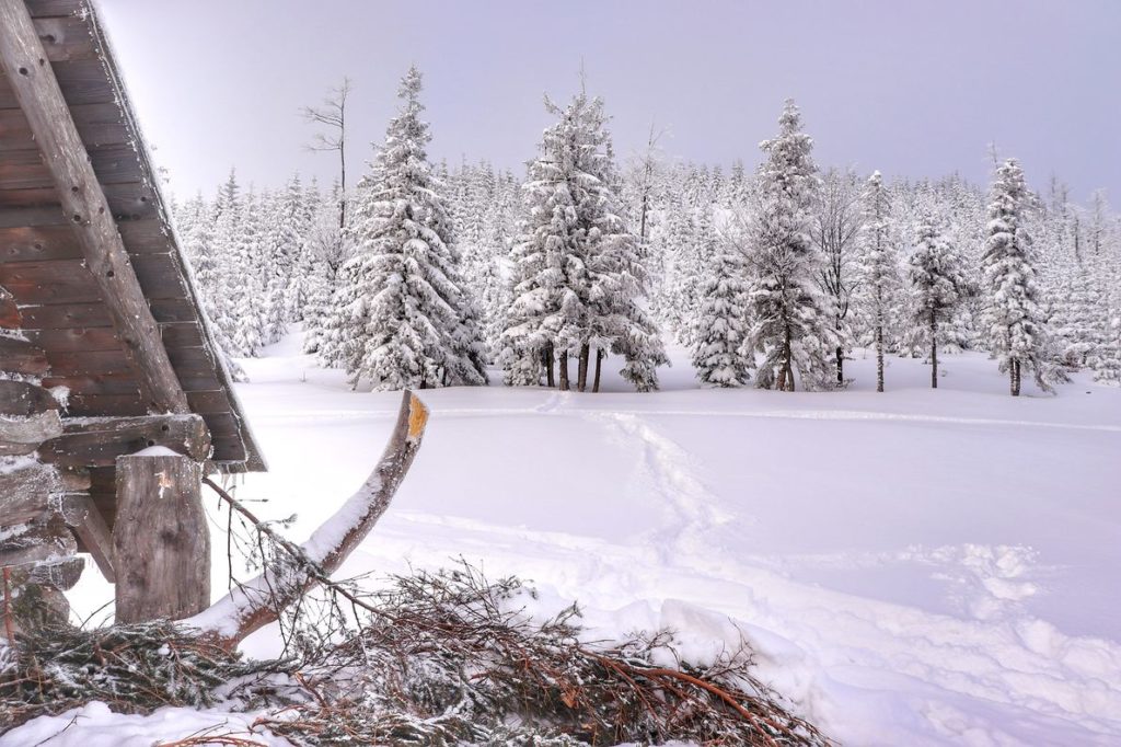 Hala Barania pokryta śniegiem, po lewej stronie widoczny bok drewnianej Bacówki na Hali Baraniej, zaśnieżone drzewa