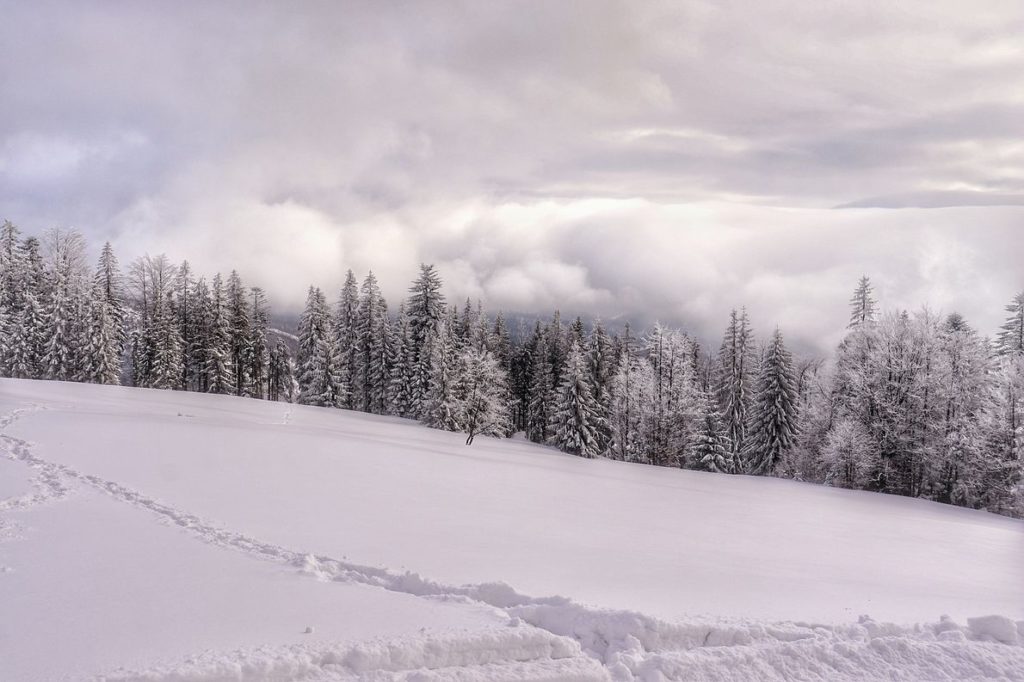 Hala Barania w zimowej odsłonie, niebo pokryte białymi, gęstymi chmurami