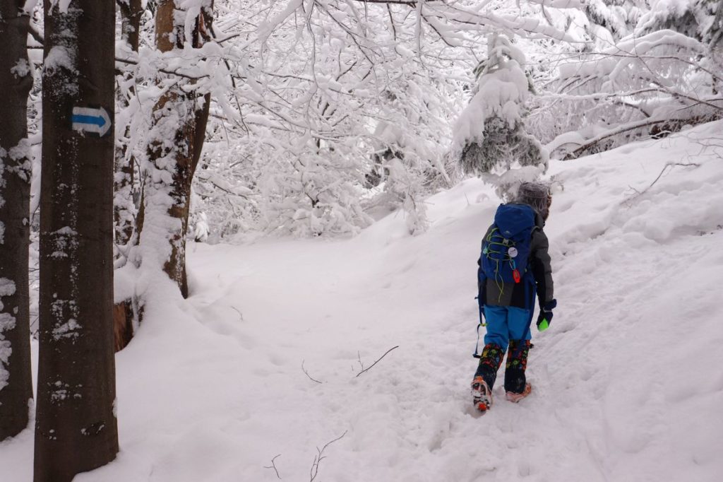 Mały turysta, dziecko skręcające w prawo na niebieskim szlaku, duże ilości śniegu na trasie