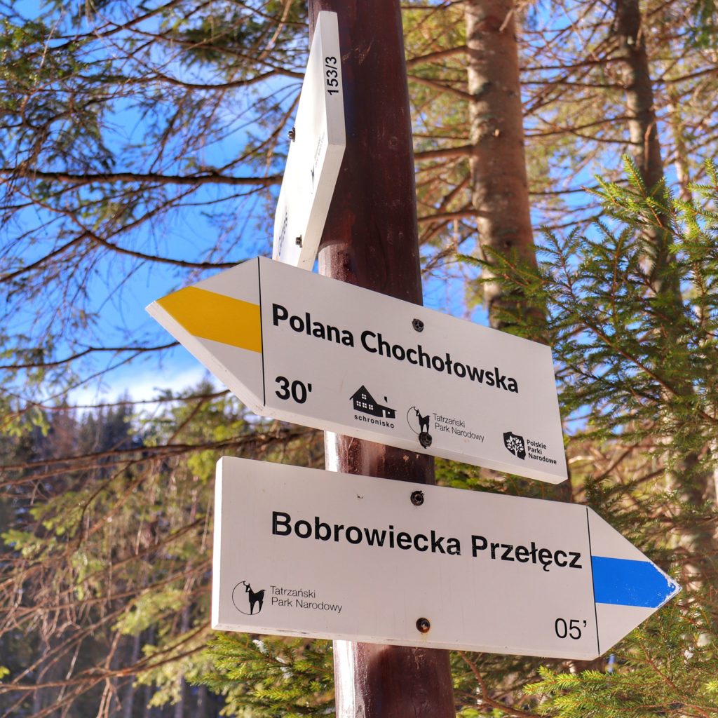Odejście na Bobrowiecką Przełęcz - szlak niebieski (5 minut), Polana Chochołowska - szlak żółty (30 minut)