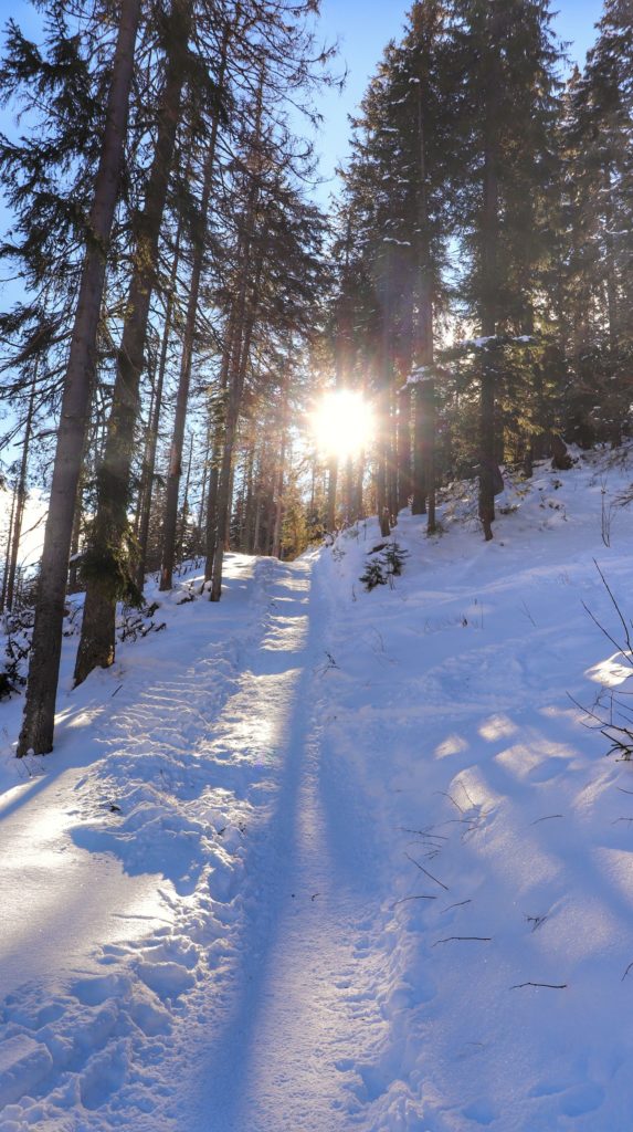 Pnąca się w górę ścieżka w Tatrzańskim Parku Narodowym oświetlona przez słońce, zima
