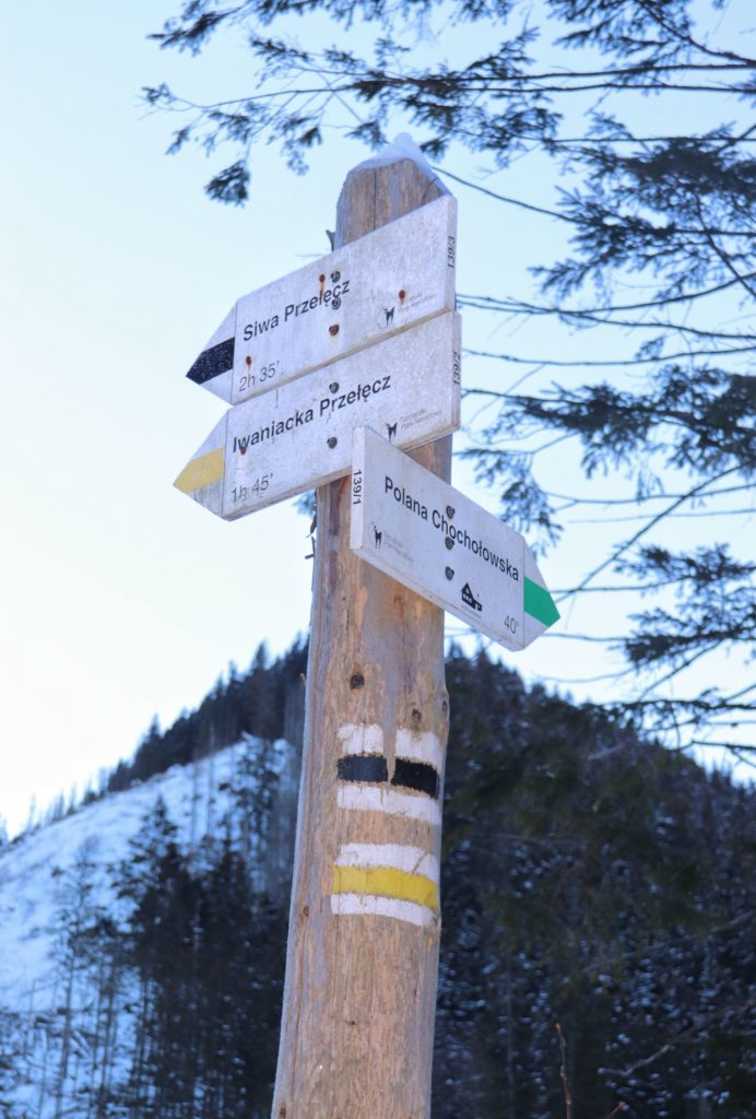 Skrzyżowanie szlaków - czarny na Siwą Polanę, żółty na Iwanicką Przełęcz, zielony na Polanę Chochołowską