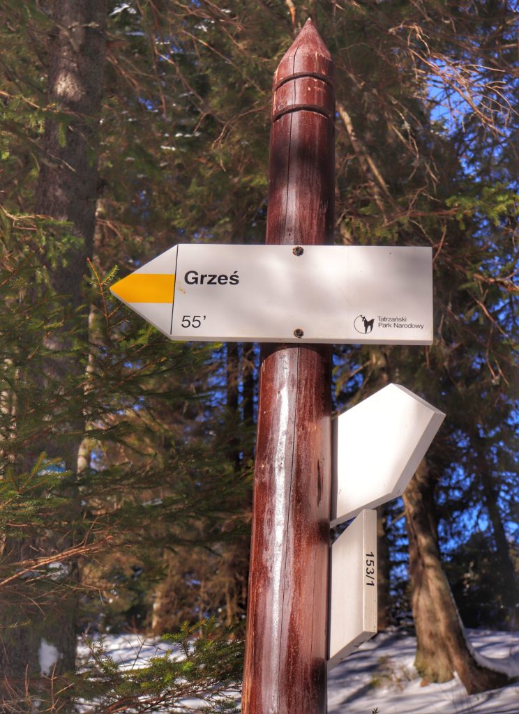 Skrzyżowanie szlaków - Odejście na Bobrowiecką Przełęcz (szlak niebieski), szlak żółty na Grzesia 55 minut