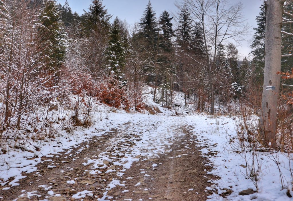 Szeroka, utwardzona, zaśnieżona droga na czarnym szlaku idącym od Stalownika w Bielsku
