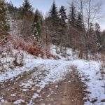Szeroka, utwardzona, zaśnieżona droga na czarnym szlaku idącym od Stalownika w Bielsku