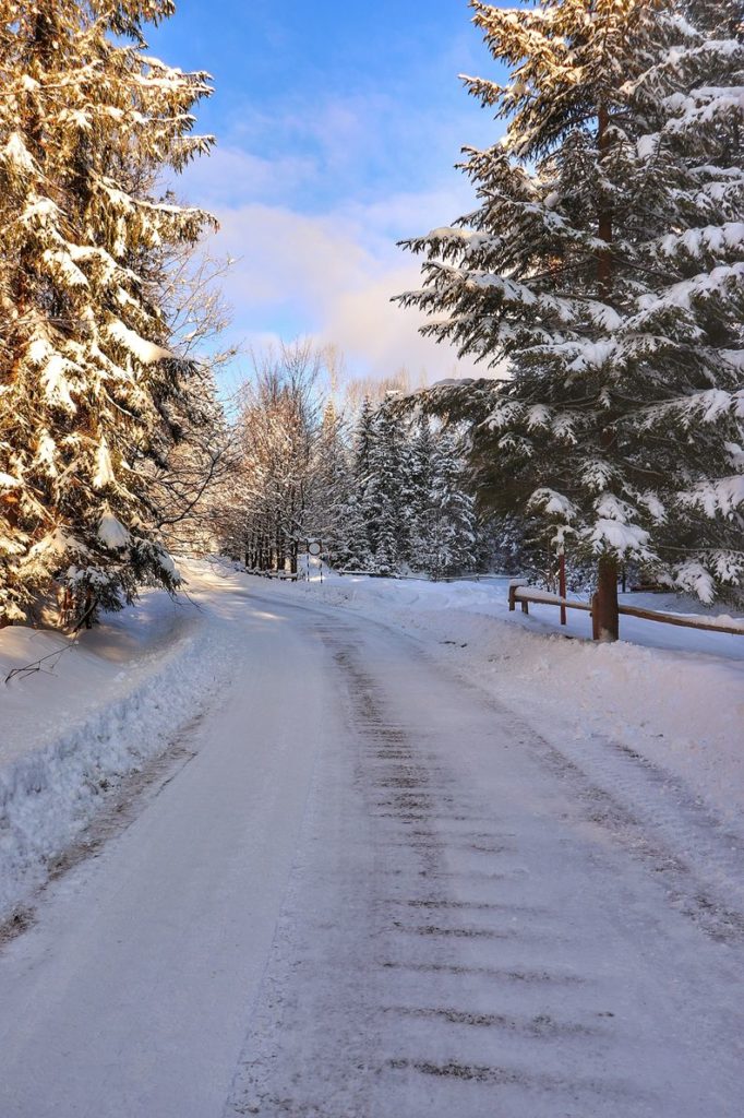 Szeroka, zaśnieżona droga ulica Parkowa w Kamesznicy, pokryte śniegiem drzewa, niebieskie niebo