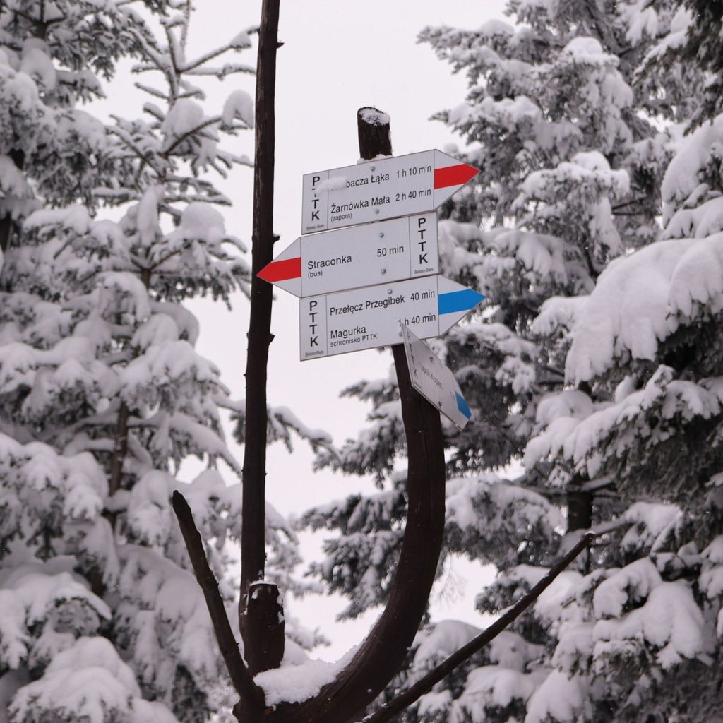 Słup z drogowskazami na skrzyżowaniu szlaków - Pod Gaikami, opis szlaku czerwonego oraz niebieskiego, zima