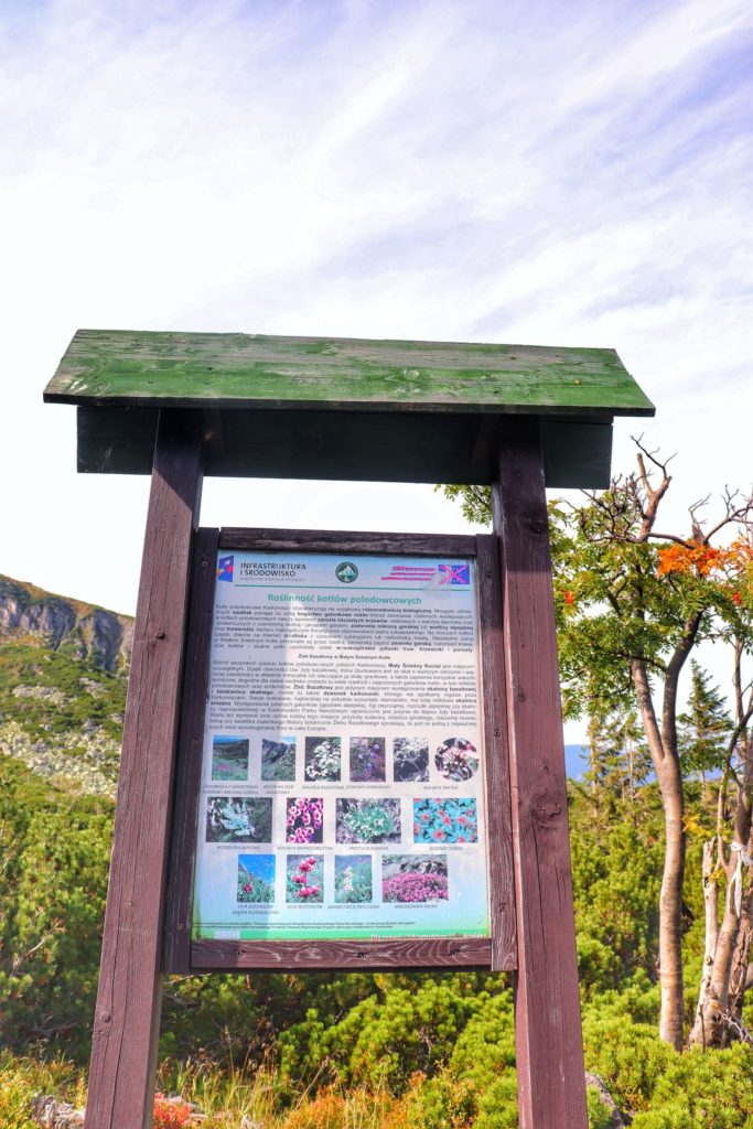 Tablica informacyjna w Karkonoskim Parku Narodowym - Roślinność kotłów polodowcowych