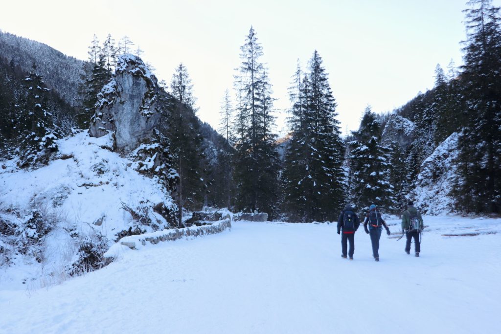 Trzyosobowa grupka turystów idąca zielonym szlakiem na Polanę Chochołowską, mroźny, zimowy poranek