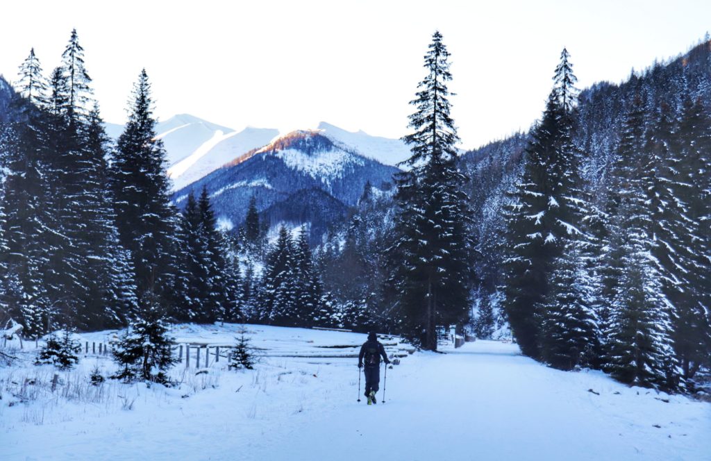 Turysta na szerokiej, zaśnieżonej drodze, zielony szlak w Dolinie Chochołowskiej, widok na Tatry Zachodnie