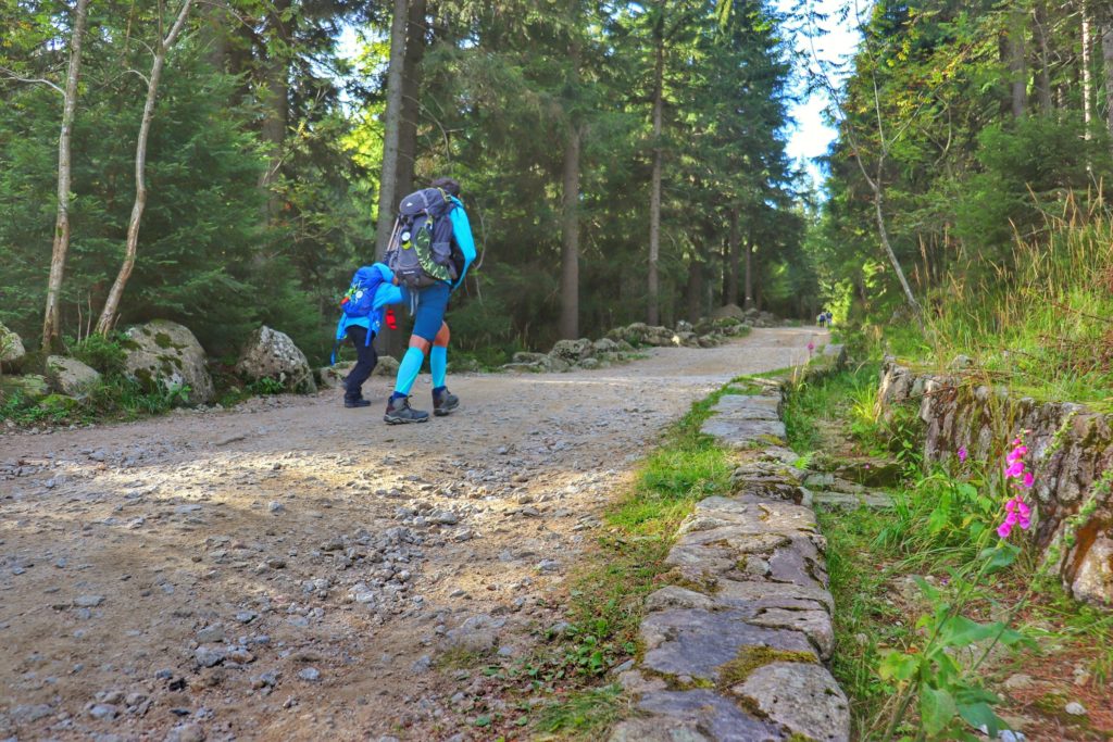 Turysta z dzieckiem, szeroka droga na żółtym szlaku w Karkonoszach