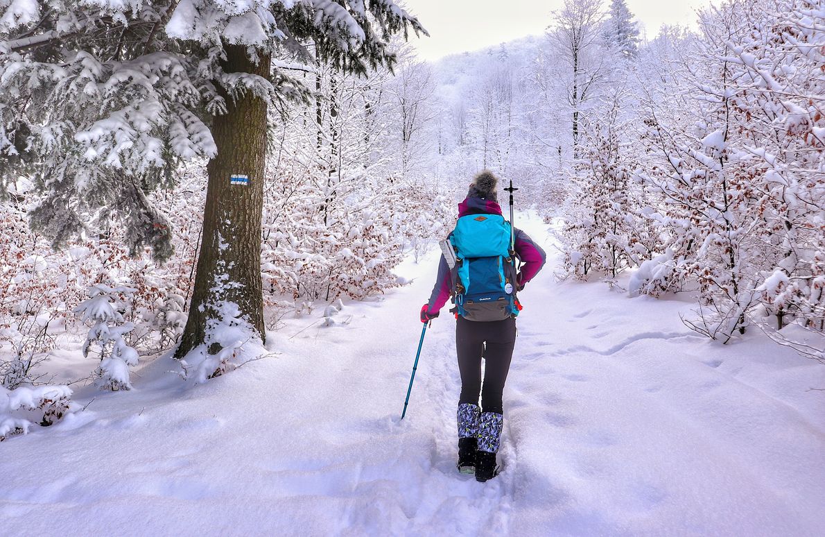 Gaiki szlak z Lipnika, Beskid Mały