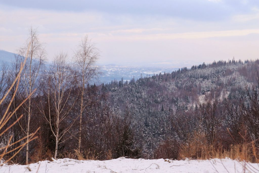 Widok na miasto Bielsko - Biała z żółtego szlaku na Rogacz