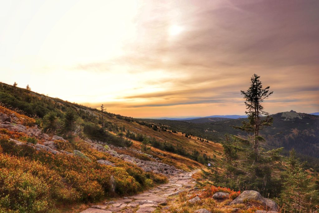 Wąska, brukowana ścieżka na niebieskim szlaku w Karkonoskim Parku Narodowym, zachód słońca, w oddali widoczna Szrenica