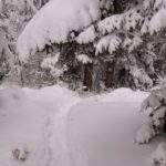 Wąski tunel wydeptany w śniegu, skrzyżowanie szlaków Pod Gaikami zimą