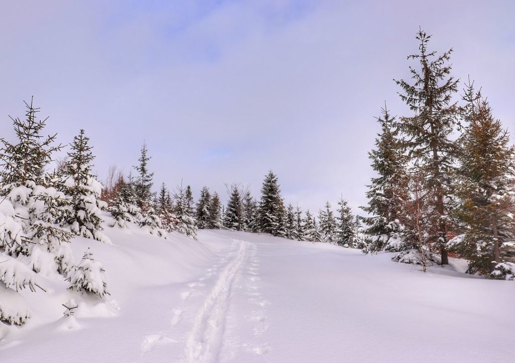 Zaśnieżona droga, na której jest wąska ścieżka zrobiona przez narciarza, niebieskie niebo