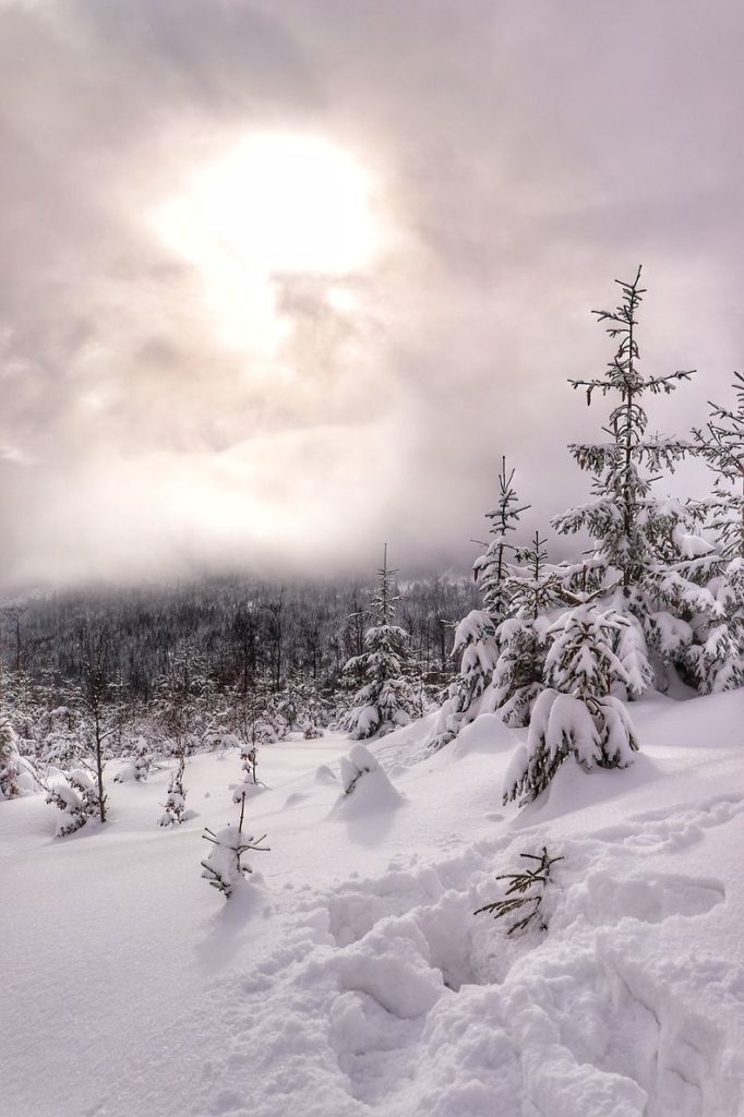 Zachmurzone niebo, zimowe słońce, zaśnieżone drzewa, okolice Hali Baraniej