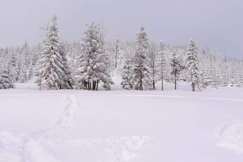 Zasypana przez śnieg Hala Barania, pokryte śniegiem drzewa