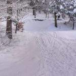 Zaśnieżona, szeroka droga pożarowa numer 4 w Lipniku - miejsce skrętu szlaku niebieskiego w prawo