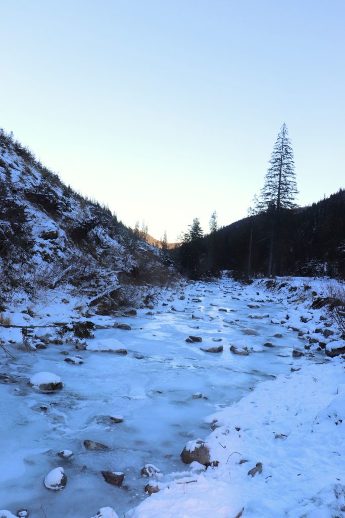 Zima na zielonym szlaku w Tatrach, zamrożony Chochołowski Potok, mroźny poranek