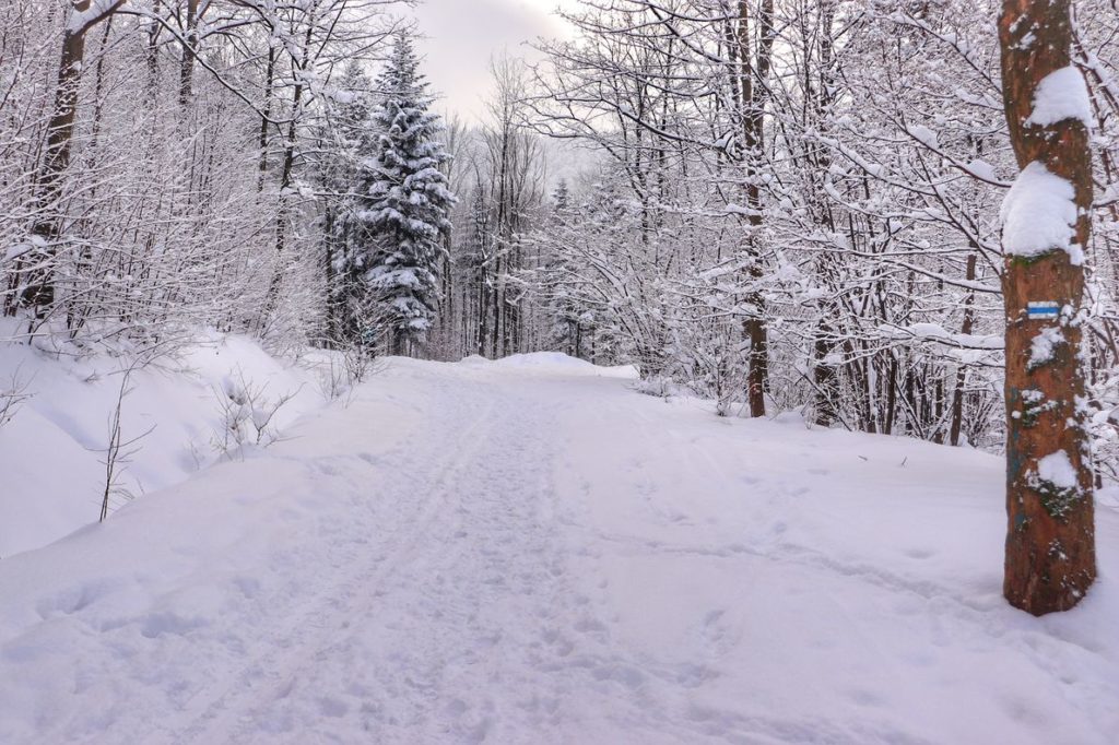 Zima, ośnieżona droga pożarowa numer 4 - niebieski szlak idący z Lipnika