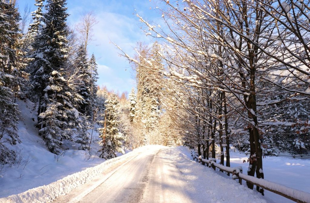 Zima w Kamesznicy, droga pokryta śniegiem, ośnieżone gałęzie drzew