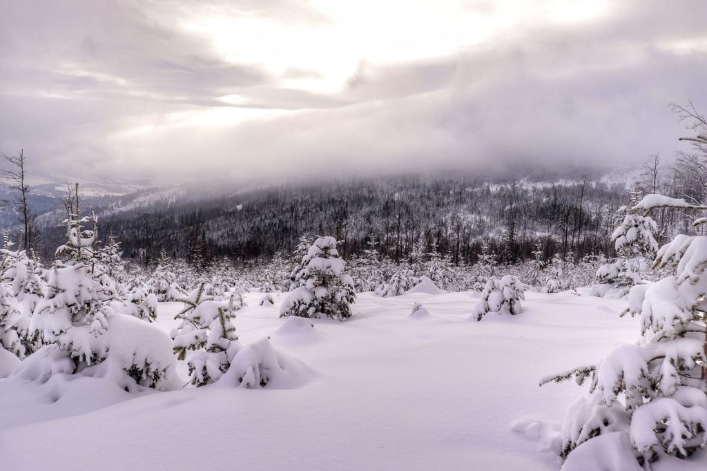 Zimowy krajobraz górski rozciągający się z trasy na Halę Baranią