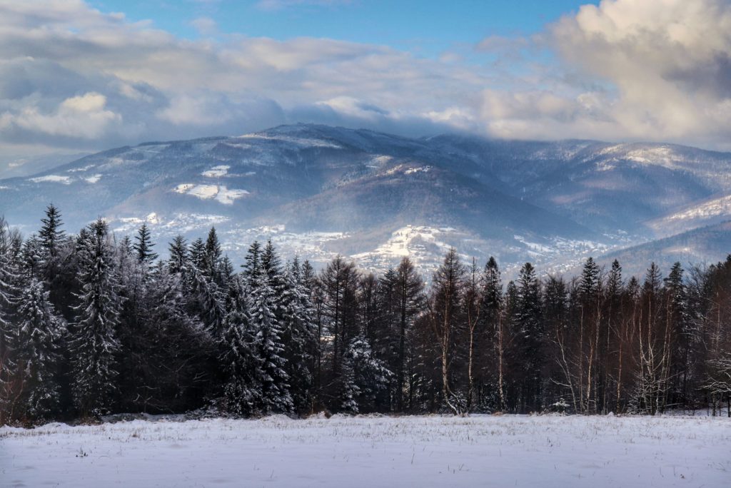 Zimowy krajobraz - widok na Beskid Śląski z Beskidu Małego - szczyt Rogacz