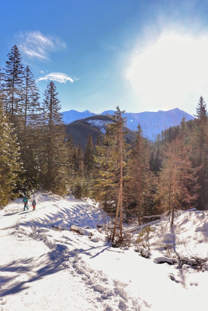 Żółty szlak w Tatrach idący od Polany Chochołowskiej, wąska wydeptana w śniegu ścieżka, turyści, słoneczny, zimowy dzień