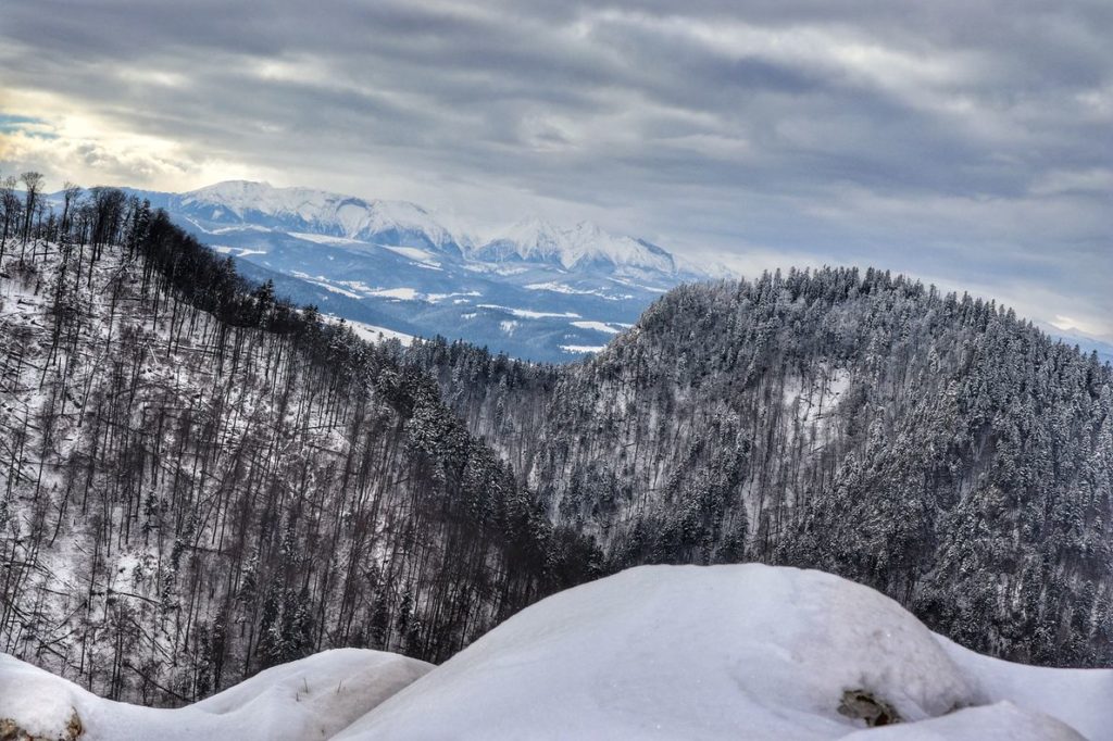Śnieg zalegający na pienińskiej Sokolicy, w oddali widok na Tatry