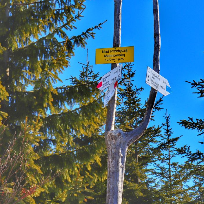 Żółta tabliczka z napisem Nad Przełęczą Malinowską - 1070 metrów nad poziomem morza, miejsce odbicia szlaku niebieskiego idącego na Baranią Górę