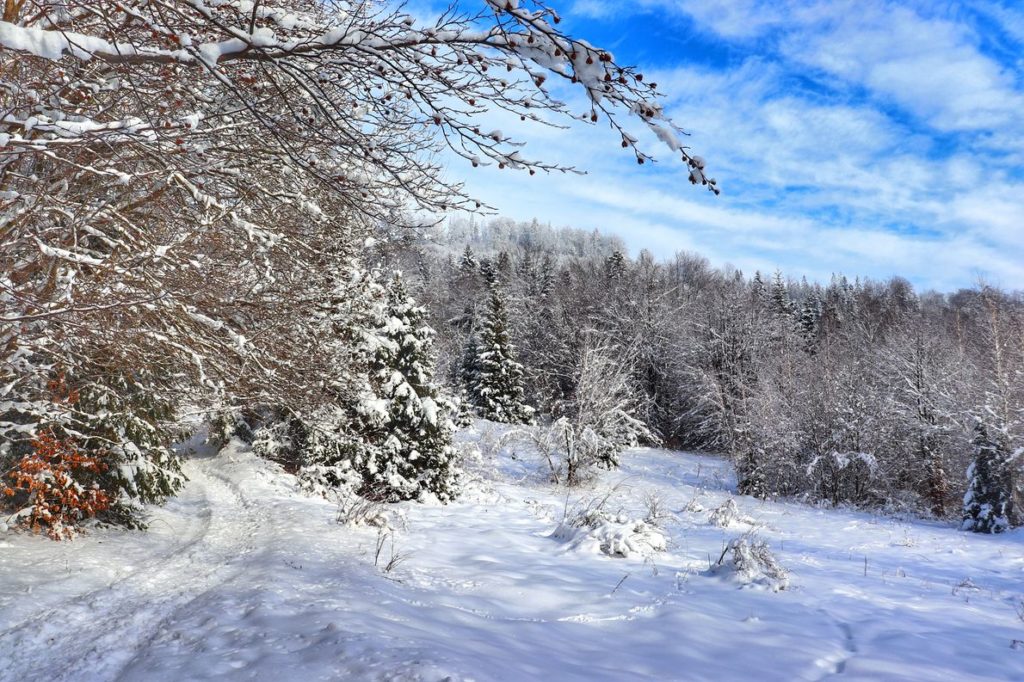 Bajkowy, zimowy krajobraz na beskidzkim szlaku - Rajcza w śniegu