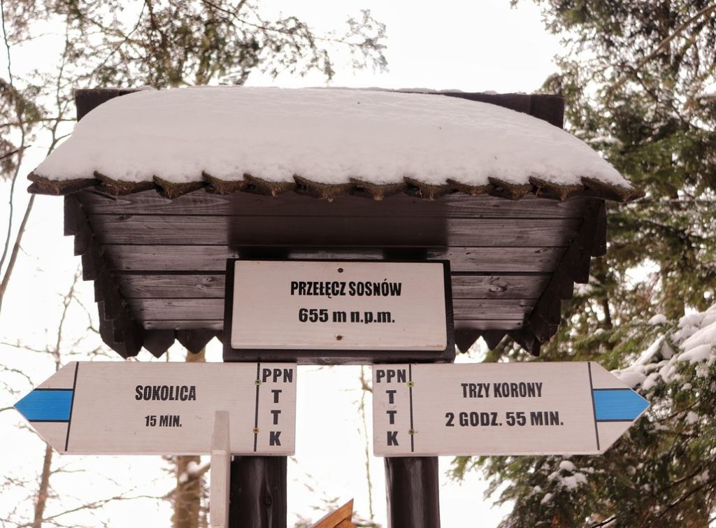 Biała tabliczka oznaczająca Przełęcz Sosnów leżącą 655 metrów nad poziomem morza, niebieski szlak na Sokolicę - 15 minut, niebieski szlak w przeciwnym kierunku na Trzy Korony - 2 godziny 55 minut