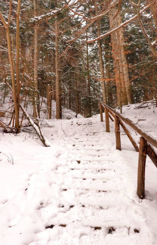 Drewniane schody z poręczą pokryte śniegiem na zielonym szlaku prowadzącym na Przełęcz Sosnów w Pieniach