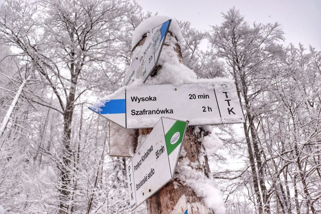 Drogowskaz na Przełęczy Kapralowa Wysoka w Pieninach - szlak niebieski na Wysoką - 20 minut, zima, zaśnieżone drzewa