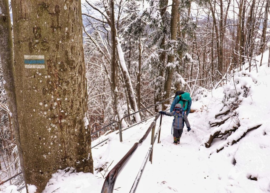Dziecko idące na Sokolicę w Pieninach niebieskim szlakiem z tatą, zima, metalowe barierki, las