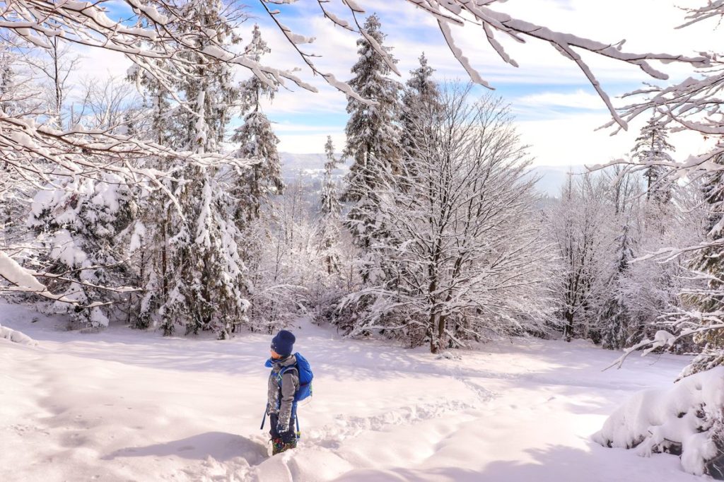 Dziecko stojące w głębokim śniegu przy szlaku niebieskim idącym na Halę Boraczą, piękna, zimowa sceneria